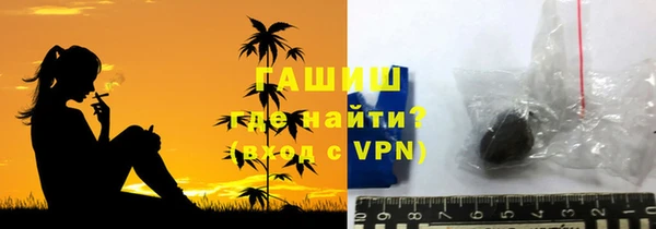 индика Алзамай