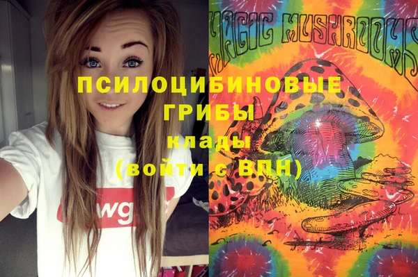 мяу мяу мука Алексин
