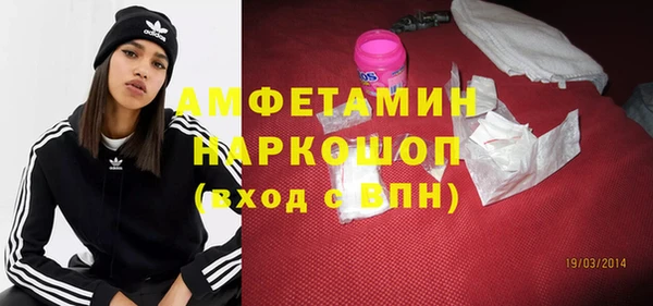 индика Алзамай