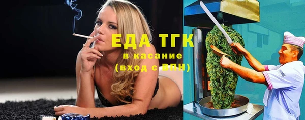 индика Алзамай